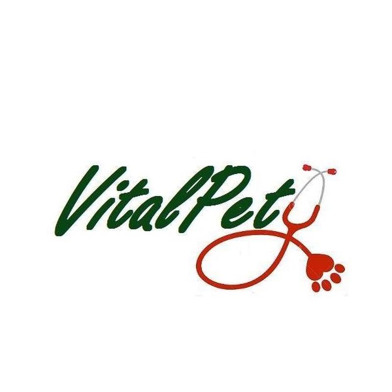 VitalPet Care - Cabinet veterinar